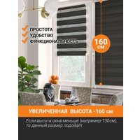 Шторы день-ночь Delfa Сантайм День&Ночь Стандарт СРШ 01МКЭД-DN40611 (55x160, черный)