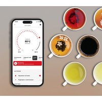 Электрический чайник Redmond (Редмонд) SkyKettle KG258S (белый)