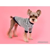 Свитер для животных Pinkaholic Hash NASD-TS7503-NY-S (синий)