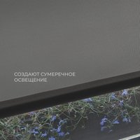 Рулонные шторы Franc Gardiner Juta 80x160 9403217954 (графит)