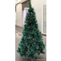 Сосна MA пушистая 3 м