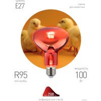Инфракрасная лампа ЭРА ИКЗК 230-100 R95 E27 Б0062411