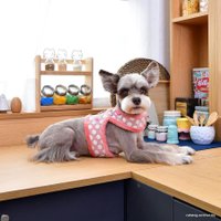 Шлейка-жилетка Pinkaholic Joceline NARD-HJ7363-IP-L (розовый)