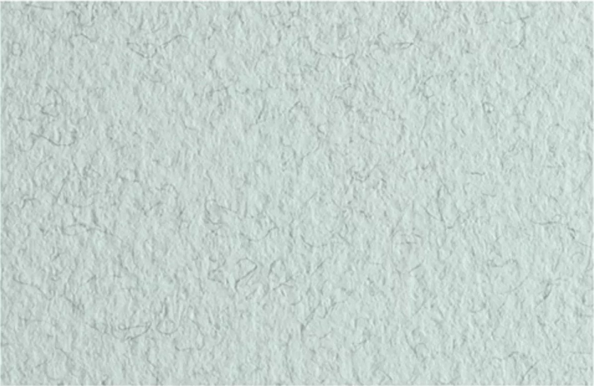 

Бумага для рисования Fabriano Tiziano 52551032 (белый с вкраплениями)