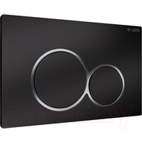 Панель смыва Lauter 219704E (черный)