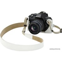 Зеркальный фотоаппарат Olympus E-450 Kit 14-42mm + 40-150mm