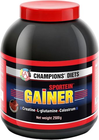 Протеин комплексный Академия-Т Sportein Gainer (2500г, шоколад)