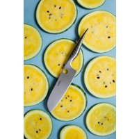 Кухонный нож Samura Reptile SRP-0095