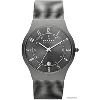 Наручные часы Skagen 233XLTTM