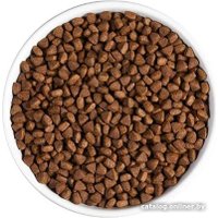 Сухой корм для кошек Ambrosia Grain Free (для стерилизованных, свежая форель и кролик) 1.5 кг