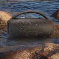 Беспроводная колонка Soundmax SM-PS5031B
