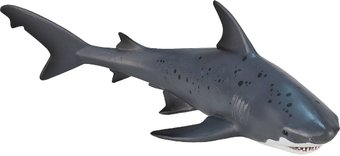 Konik Тупорылая акула AMS3009