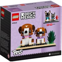 Конструктор LEGO Brick Headz 40543 Сенбернар