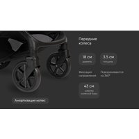 Универсальная коляска Tomix Selena 2в1 P02 (черный)