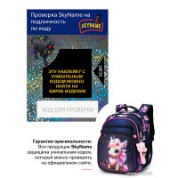 Школьный рюкзак SkyName R3-273 + брелок мишка
