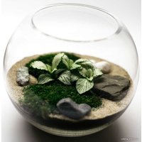 Флорариум Home Garden Маленький Шар
