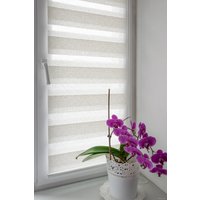 Шторы день-ночь Delfa Сантайм День Ночь Декор СРШ-01МК 44015 48x160 (дамаск)