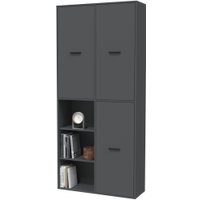 Шкаф распашной Интерлиния Skill-20 (3) (антрацит/антрацит)