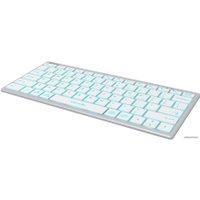 Клавиатура A4Tech Fstyler FX61 (серебристый/белый)