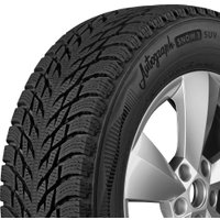 Зимние шины Ikon Tyres Autograph Snow 3 SUV 255/55R20 110R