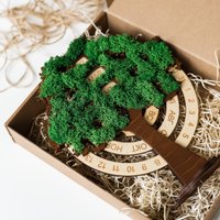 Вечный календарь Творческая мастерская "Пуговка" Анастасии Минич Дерево со мхом