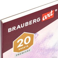 Альбом для рисования BRAUBERG Art Premiere 113216 (20 л)