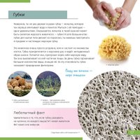  Levenhuk Книга знаний «Невидимый мир»