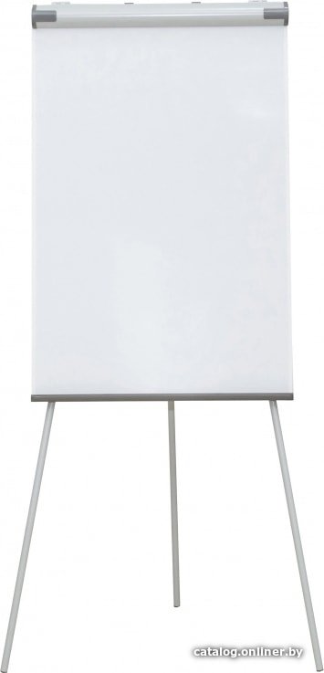 Флипчарт CACTUS CS-FCT-W67x105