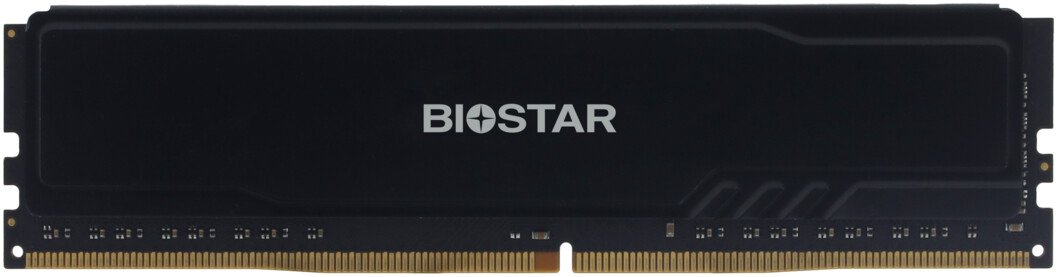 Оперативная память BIOSTAR Storming V 8ГБ DDR4 3200 МГц