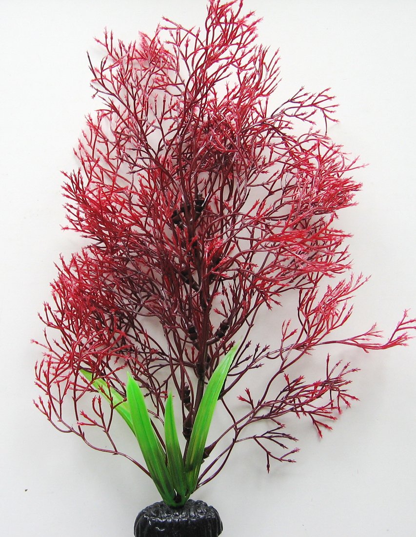 

Искусственное растение Barbus Горгонария Plant 032/30 (красный)