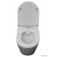 Унитаз подвесной Cerutti Ortler Aria CT7182