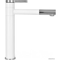 Смеситель Wisent WG1152-2