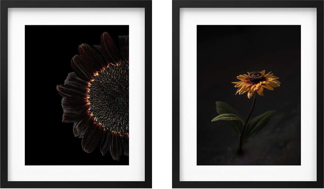 Постер Ikea Rodalm 50583547