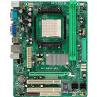 Материнская плата BIOSTAR MCP6P-M2