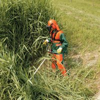 Триммер Oleo-Mac Sparta 381 T