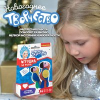 Набор для создания поделок/игрушек Bondibon Елочные игрушки из фетра своими руками. Попугаи ВВ3089