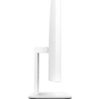 Моноблок ASUS ExpertCenter P600 AiO PM670KA-WPE0300