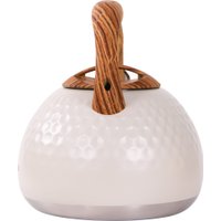 Чайник со свистком Willmark WTK-4122SS 2001459