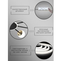 Припотолочная люстра Aitin Pro L73058/10C (черный/хром)