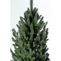 Ель GreenTerra Элоди 1.8 м