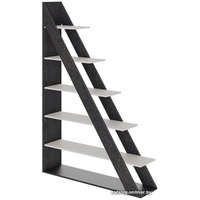 Стеллаж Трия Тип 14 (венге цаво/дуб белфорт)