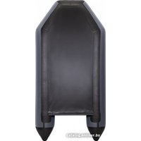 Моторная лодка Аква АКВА2900 (графит/черный)