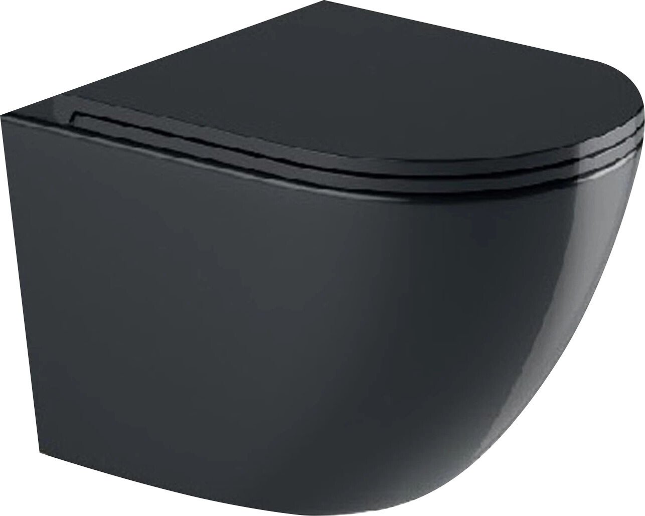 

Унитаз подвесной WeltWasser Merzbach 043 GL-BL