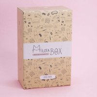 Подарочный набор Milota Box Dog Mini MBS006