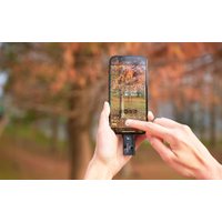 Внешний накопитель ADATA SC730 1TB SC730-1T-CACTI