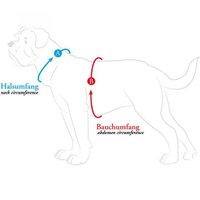 Ошейник Hunter Harness Aalborg 63-90/M-L 68375 (темно-синий)