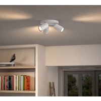 Припотолочная люстра Philips Pongee Plate/Spiral White 3xNW 230V 915005531101