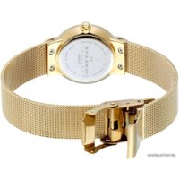 Наручные часы Skagen 358SGGD