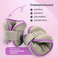  Sundays Fitness IR97843 (1кг, серый/фиолетовый)