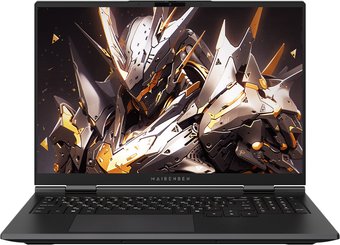 Игровой ноутбук Maibenben X-Treme Tsunami X16F X16F-R98957T1JGRHG4E10